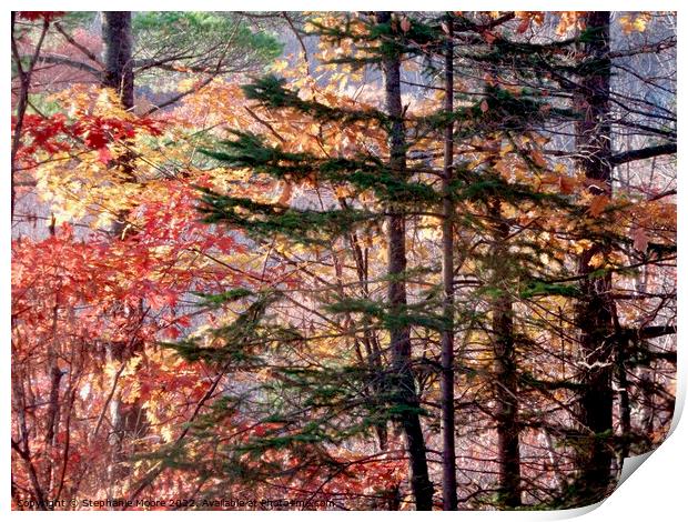 Forest trees Print by Stephanie Moore