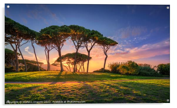 Pine tree group close to sea and beach. Baratti, Tuscany. Acrylic by Stefano Orazzini
