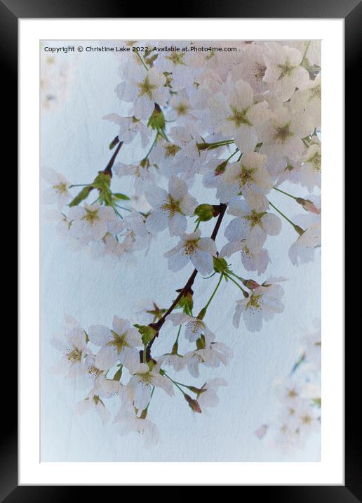 The Beauty Of Spring Framed Mounted Print by Christine Lake