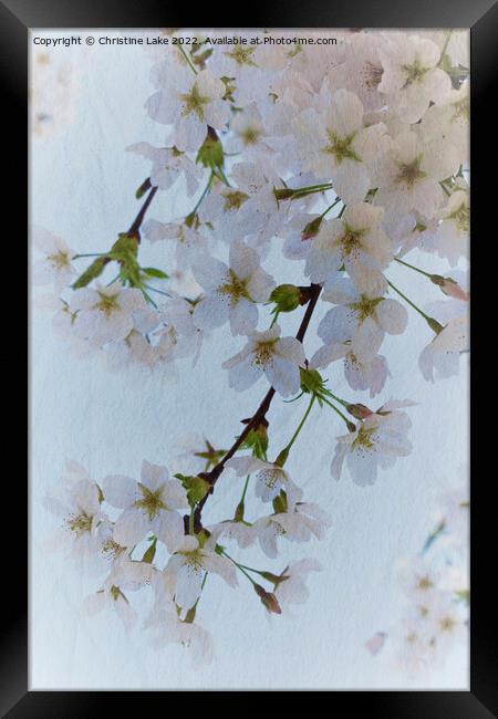 The Beauty Of Spring Framed Print by Christine Lake