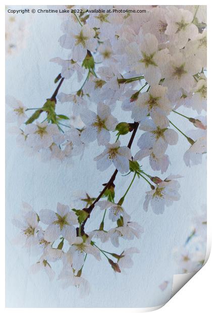 The Beauty Of Spring Print by Christine Lake