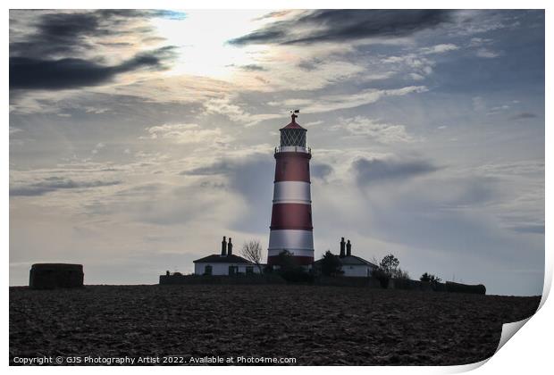 Silver Dappled Lighthouse Print by GJS Photography Artist