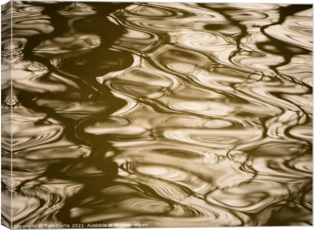 Ripples in Water Canvas Print by Tom Curtis