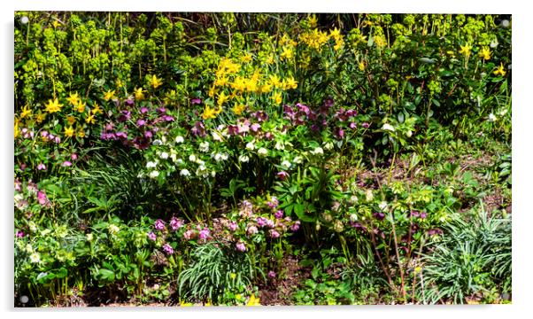 Spring flower garden Acrylic by Joy Walker