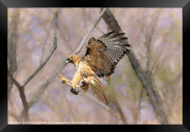 Successful Catch Framed Print by Donna Kennedy