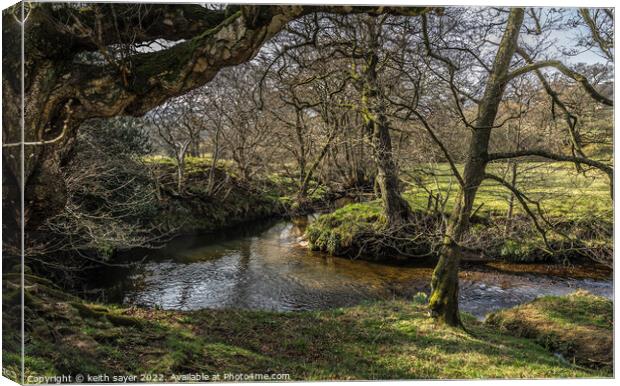 River Dove Farndale Canvas Print by keith sayer