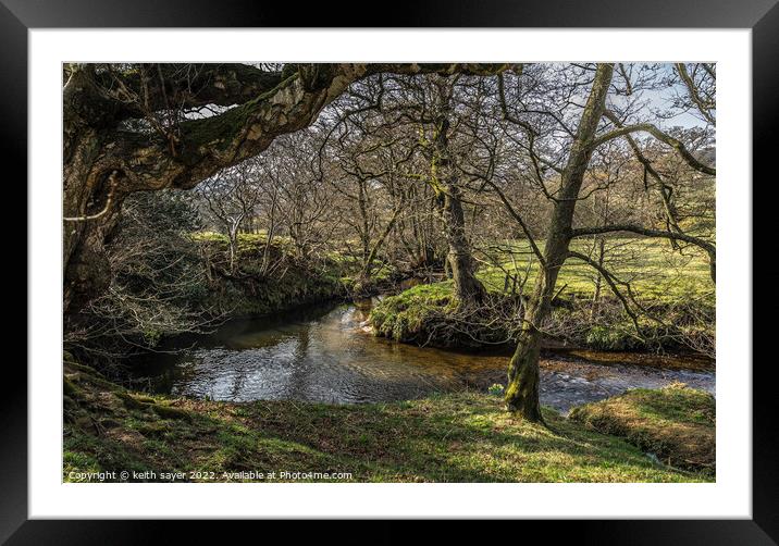 River Dove Farndale Framed Mounted Print by keith sayer