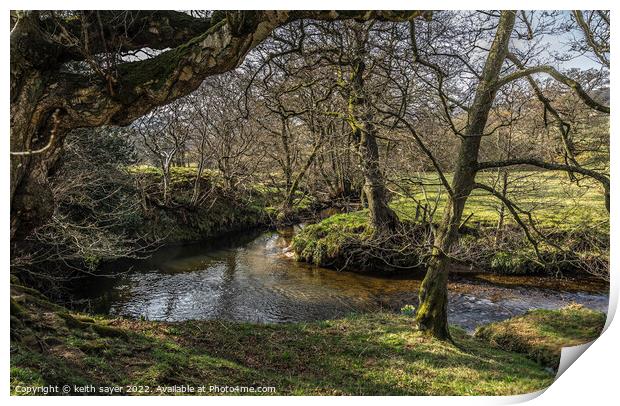 River Dove Farndale Print by keith sayer
