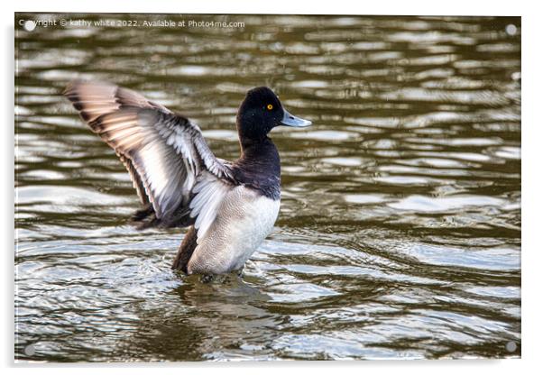 The lesser scaup  duck Acrylic by kathy white