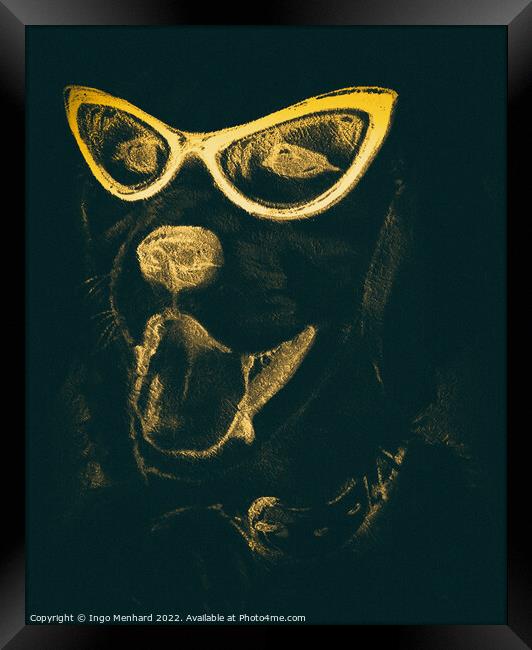 Helldog Framed Print by Ingo Menhard