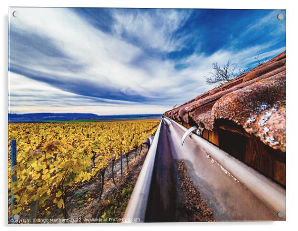 Wild vineyards Acrylic by Ingo Menhard