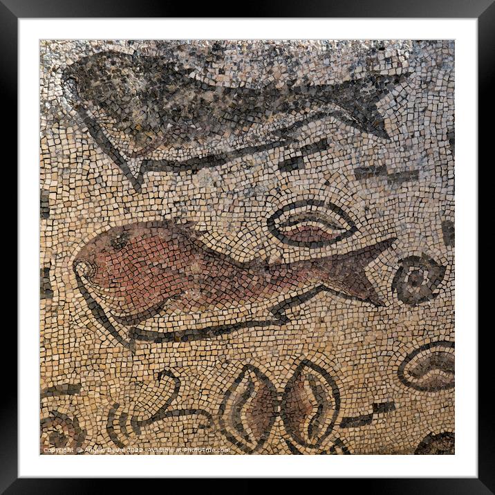 Roman Fish Mosaic of Milreu Framed Mounted Print by Angelo DeVal
