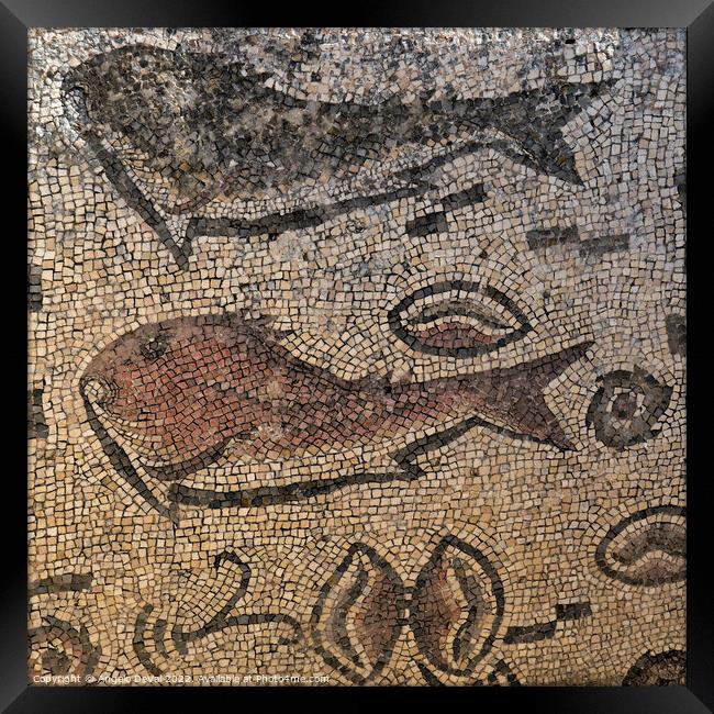 Roman Fish Mosaic of Milreu Framed Print by Angelo DeVal