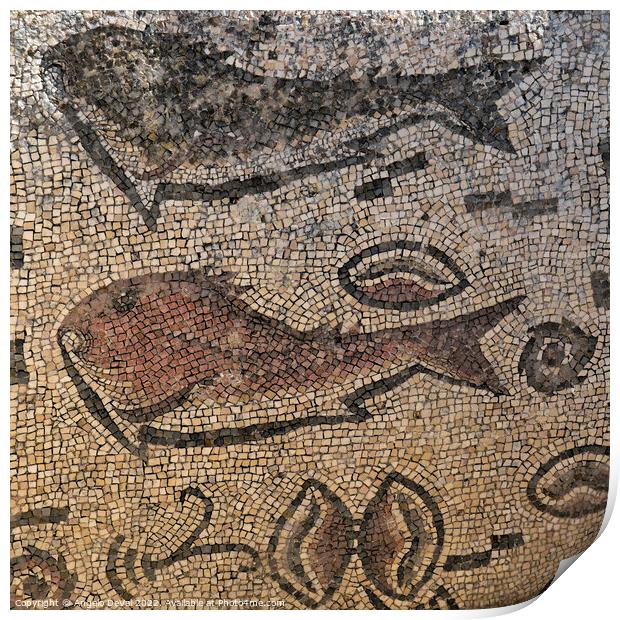 Roman Fish Mosaic of Milreu Print by Angelo DeVal