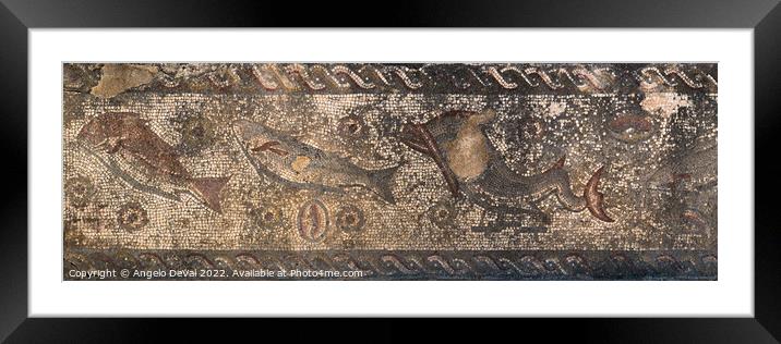Roman Fish Mosaic Panel in Milreu Framed Mounted Print by Angelo DeVal