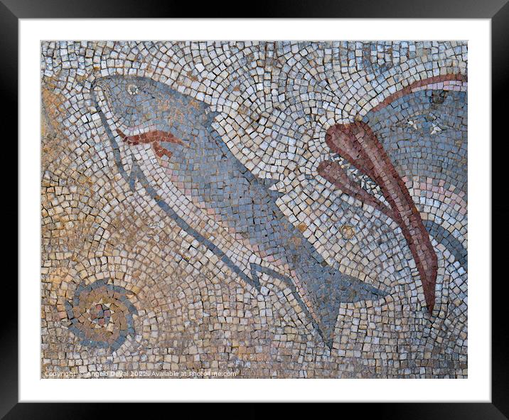 Roman Fish Mosaic in Milreu Framed Mounted Print by Angelo DeVal