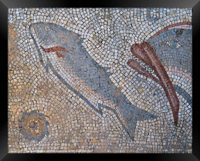 Roman Fish Mosaic in Milreu Framed Print by Angelo DeVal
