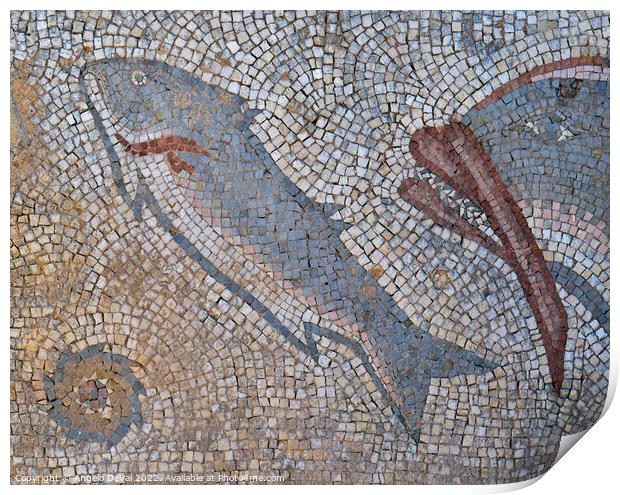 Roman Fish Mosaic in Milreu Print by Angelo DeVal