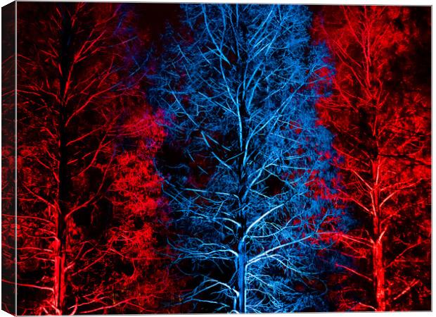 Trees in Blue & Red Canvas Print by David Jeffery