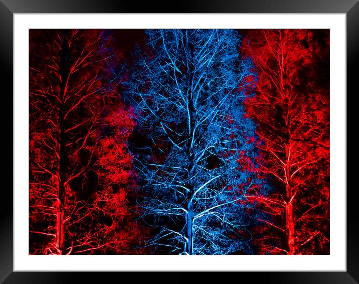 Trees in Blue & Red Framed Mounted Print by David Jeffery