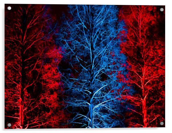 Trees in Blue & Red Acrylic by David Jeffery