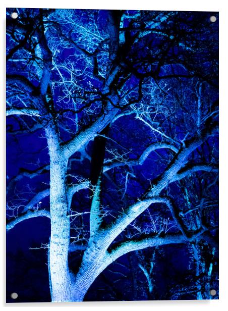 Tree in Blue Acrylic by David Jeffery