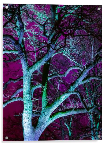 Tree in Purple Acrylic by David Jeffery