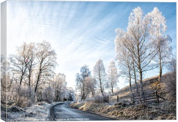 Frozen Trees On The Roadside In The Scottish Highlands Canvas Print by Peter Greenway