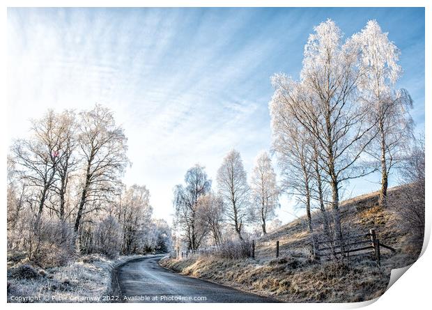 Frozen Trees On The Roadside In The Scottish Highlands Print by Peter Greenway