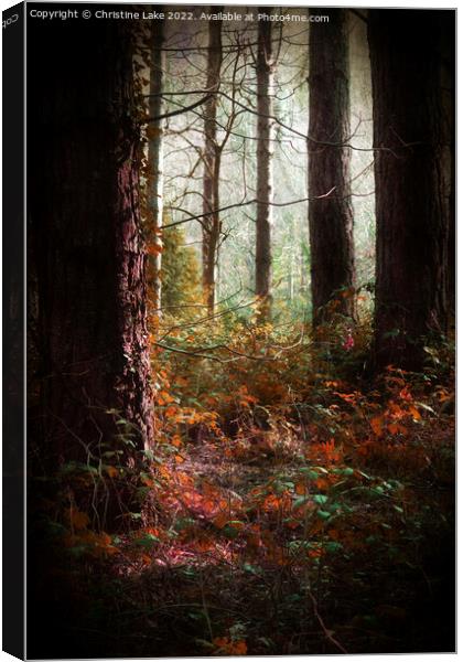 Magical Nature Canvas Print by Christine Lake