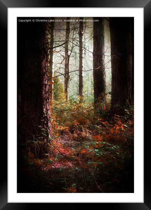 Magical Nature Framed Mounted Print by Christine Lake
