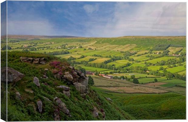 Danby Dale on the North York Moors Canvas Print by Martyn Arnold