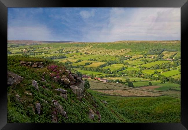 Danby Dale on the North York Moors Framed Print by Martyn Arnold