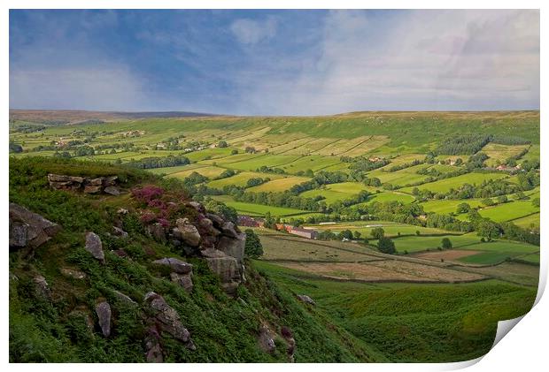 Danby Dale on the North York Moors Print by Martyn Arnold