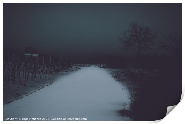 Into the darkness Print by Ingo Menhard