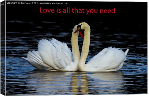 Love is all that you need Canvas Print by Jim Jones