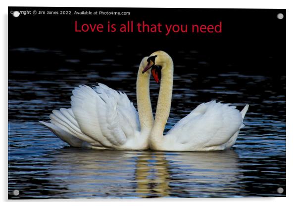 Love is all that you need Acrylic by Jim Jones