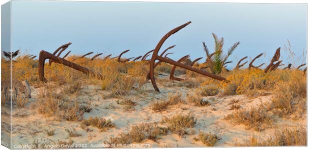 Anchors in Barril Beach Canvas Print by Angelo DeVal