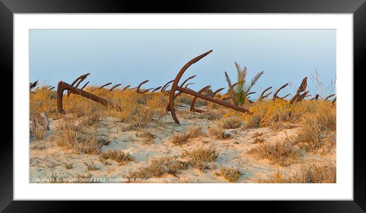 Anchors in Barril Beach Framed Mounted Print by Angelo DeVal