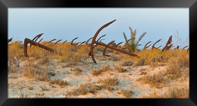 Anchors in Barril Beach Framed Print by Angelo DeVal