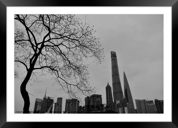 Winter in Shanghai Framed Mounted Print by Stan Lihai