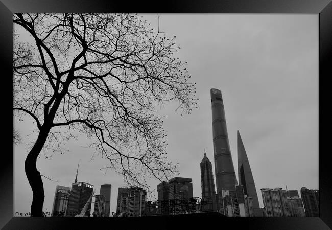Winter in Shanghai Framed Print by Stan Lihai