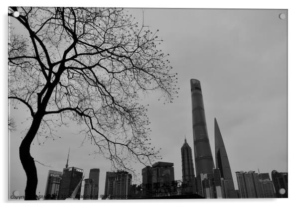 Winter in Shanghai Acrylic by Stan Lihai