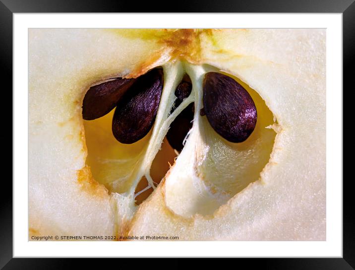 The Heart of an Apple Framed Mounted Print by STEPHEN THOMAS