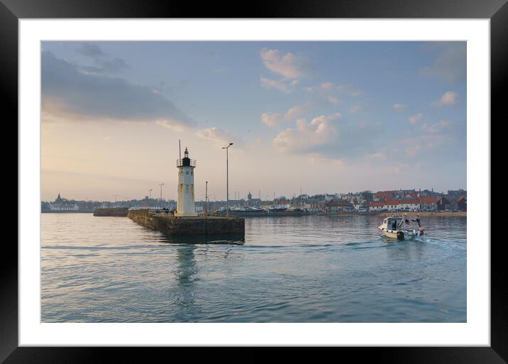Anstruther Sunset and Chalmers Lighthouse  Framed Mounted Print by Anthony McGeever