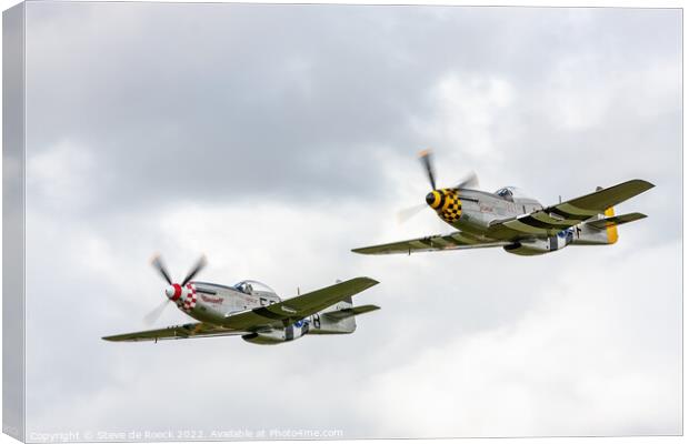 Mustang Formation. Canvas Print by Steve de Roeck