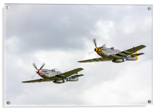 Mustang Formation. Acrylic by Steve de Roeck