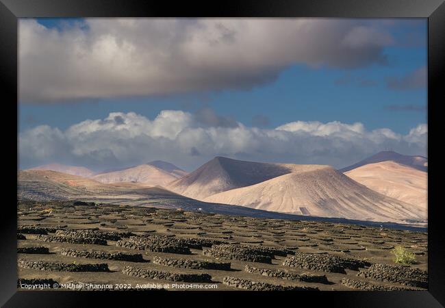 Volcanic landscape of La Geria region in Lanzarote Framed Print by Michael Shannon