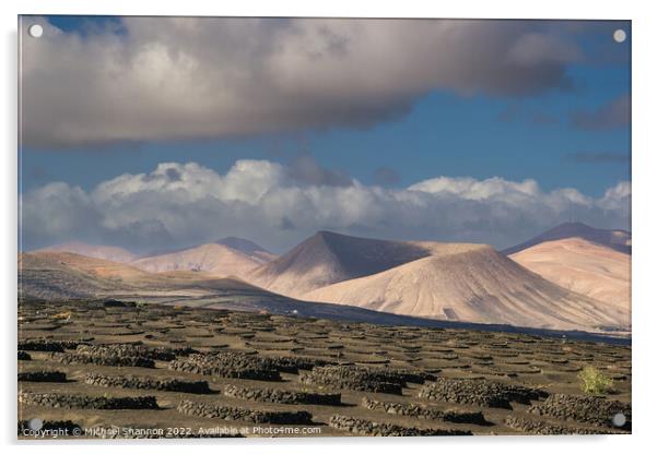 Volcanic landscape of La Geria region in Lanzarote Acrylic by Michael Shannon