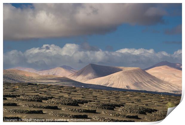 Volcanic landscape of La Geria region in Lanzarote Print by Michael Shannon